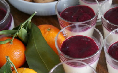 Panna Cotta aux Fruits rouges